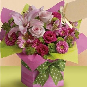 Meet your Posher, Karla